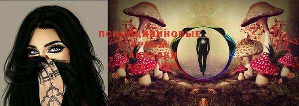 скорость Бугульма