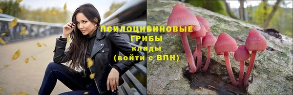 герыч Бородино